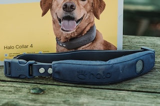 Halo Collar 5 with box