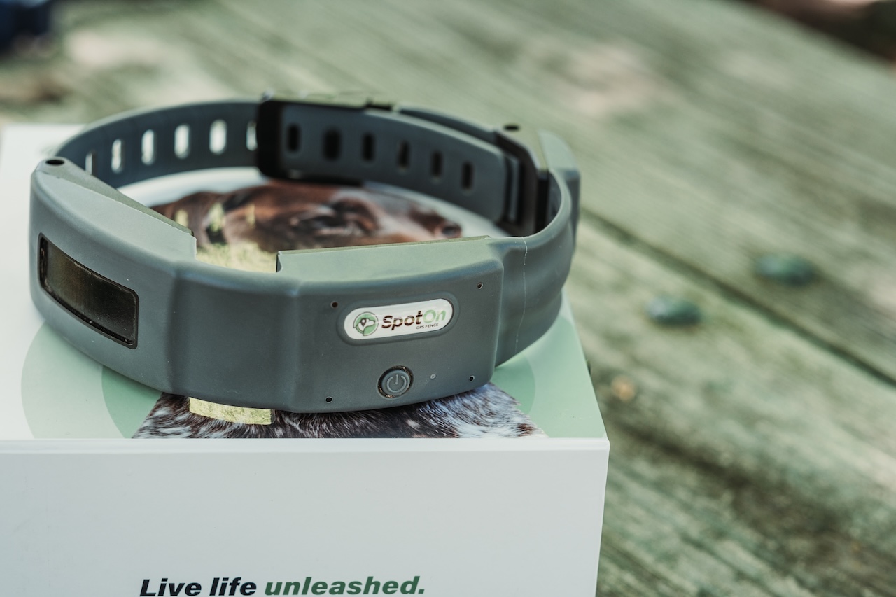 SpotOn Nova GPS collar close-up showing build quality